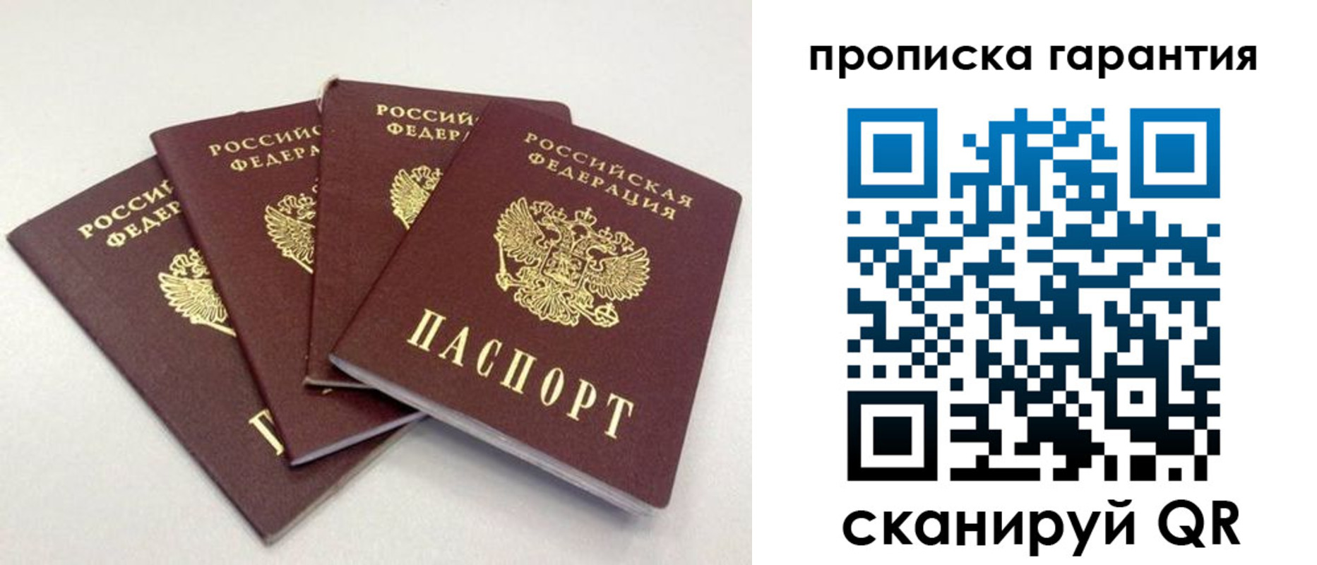 прописка в Курганинске